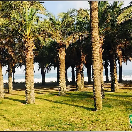 Palmeras Del Golf - Torrequebrada 公寓
